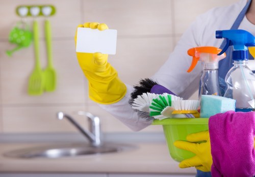 Professional home cleaner tidying a modern W9 living room