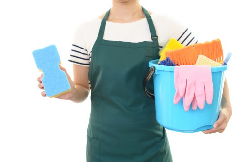 Carpet cleaning pricing for a W9 apartment with clear estimate details