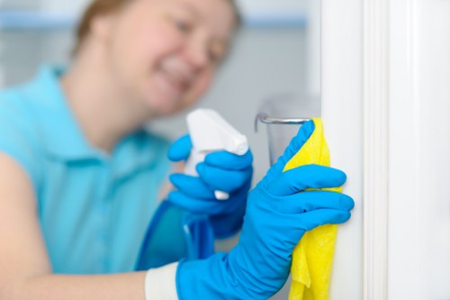 Final stage of a carpet cleaning complaints procedure with documentation