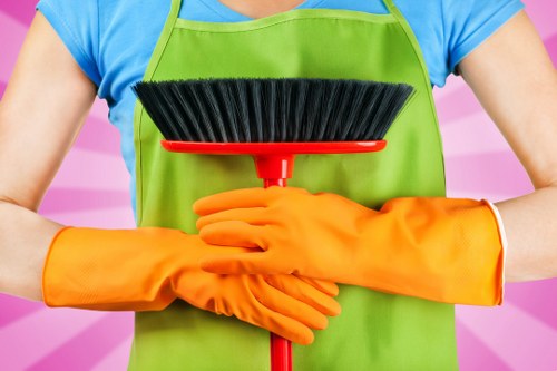 Professional carpet cleaning team introducing Carpet Cleaning W9 services