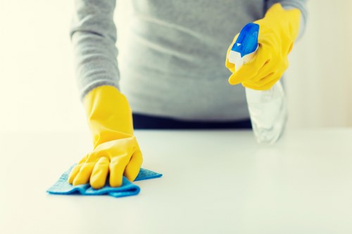 Dry carpet cleaning process carried out by a carpets cleaner in W9