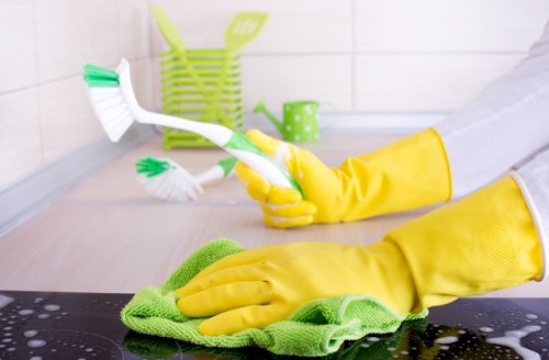 Carpet cleaning team applying safe cleaning practices in a property
