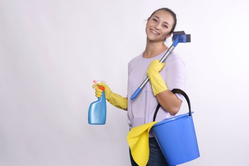 Deep carpet cleaning equipment used by a carpets cleaner in W9