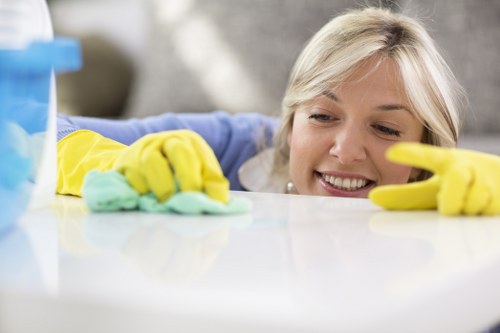 Analytics dashboard for carpet cleaning website performance