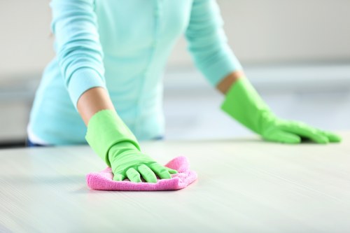 Eco-friendly cleaning company in W9 using safe cleaning products