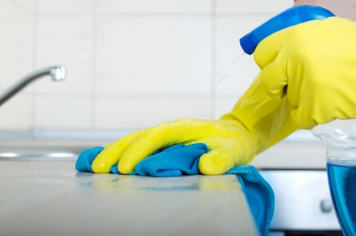 Fresh and spotless kitchen oven cleaned by a W9 oven cleaning specialist