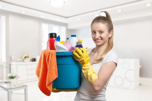 Tailored domestic cleaning for W9 properties