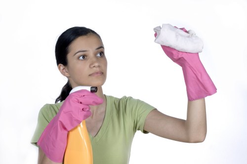 Clean and streak-free windows after a W9 cleaning service