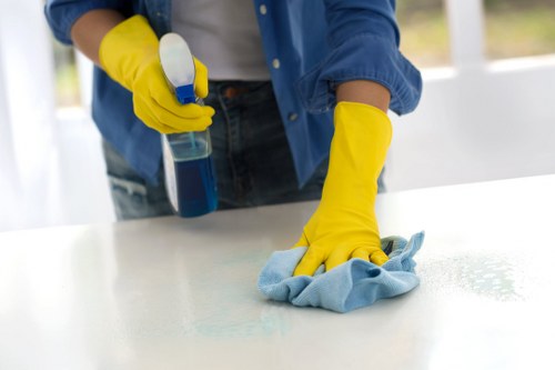 Kitchen domestic cleaning in W9 with spotless counters and surfaces