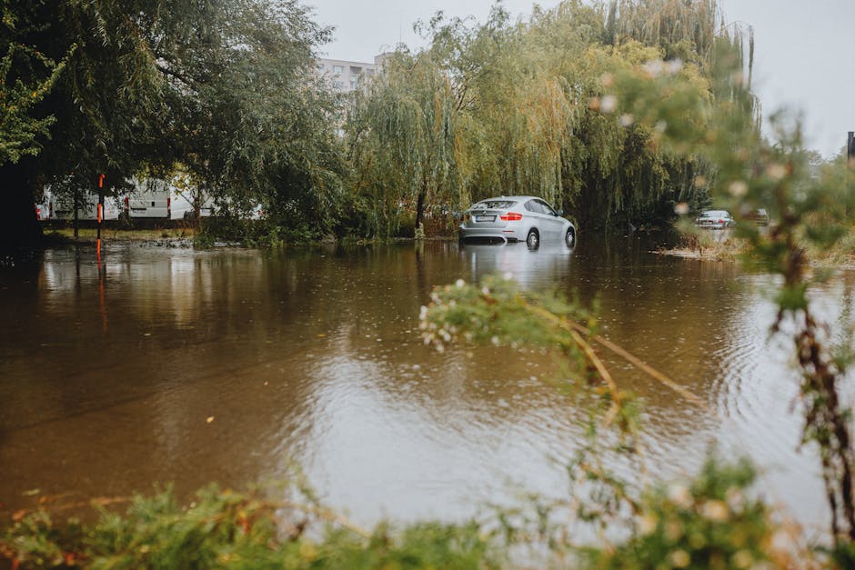 A flooded outdoor residential area with water covering the ground and partially submerging several parked cars, including a silver car near a large, leafy tree with drooping branches. The surrounding